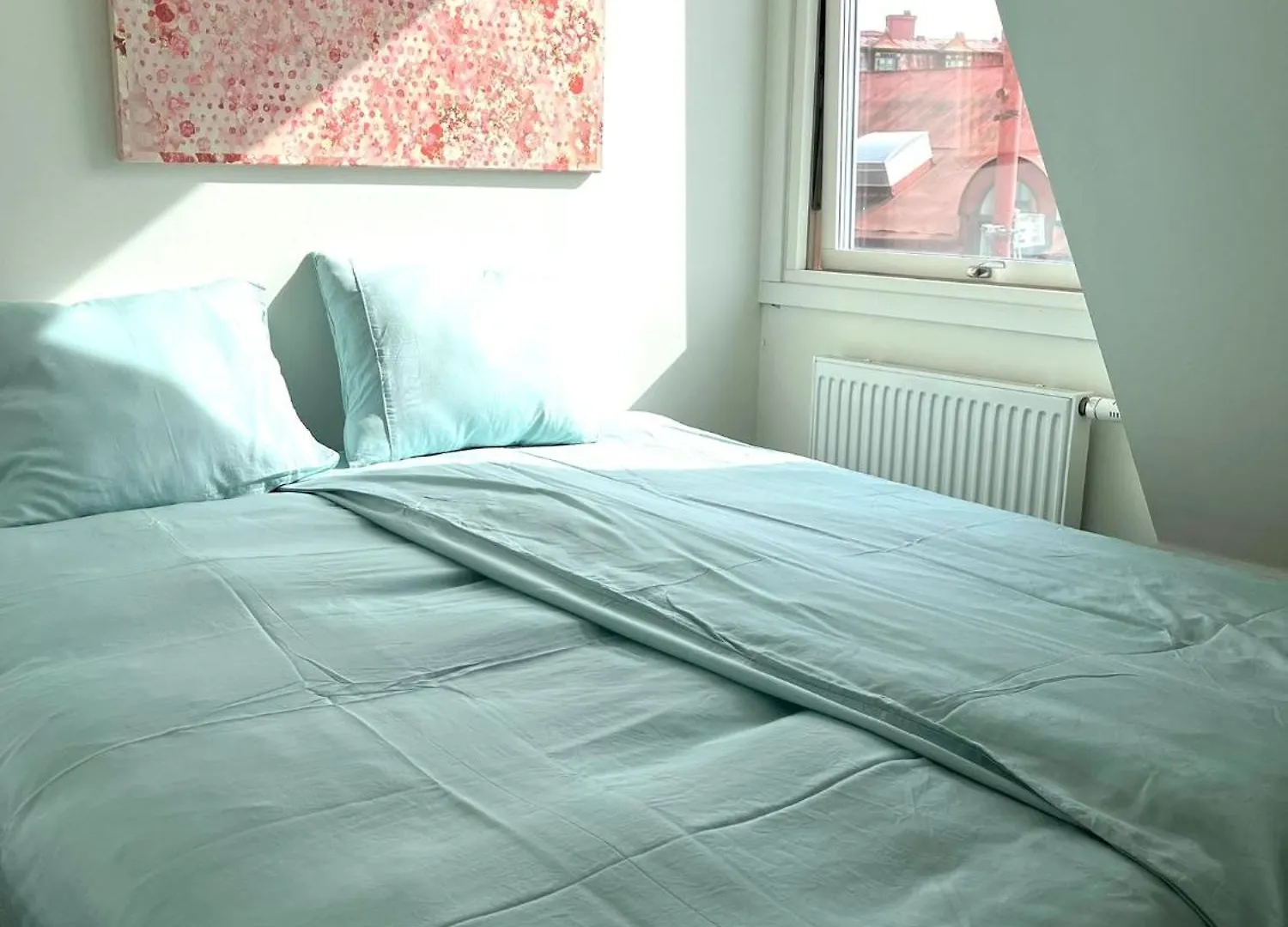 Apartment Stor Takvaning I Centrum Gothenburg Sweden