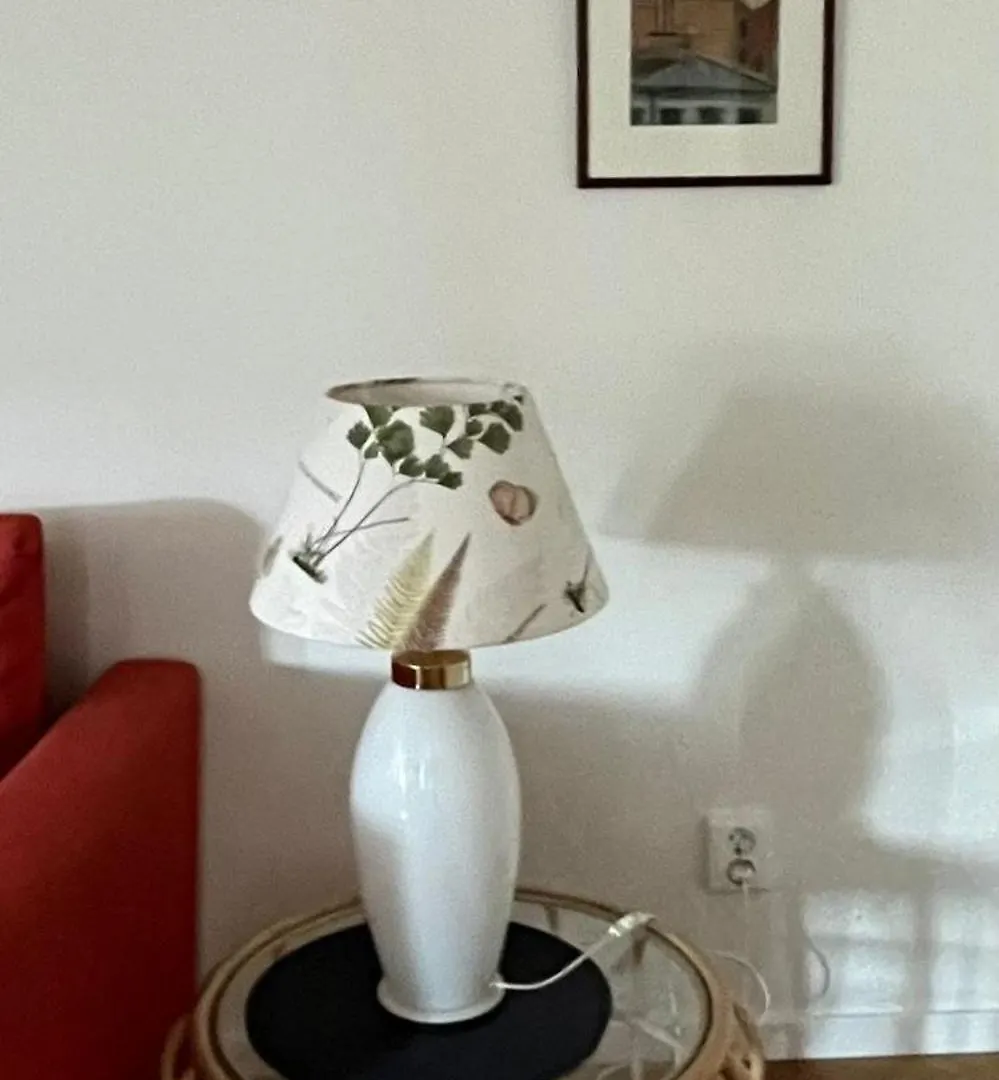 Apartment Stor Takvaning I Centrum Gothenburg